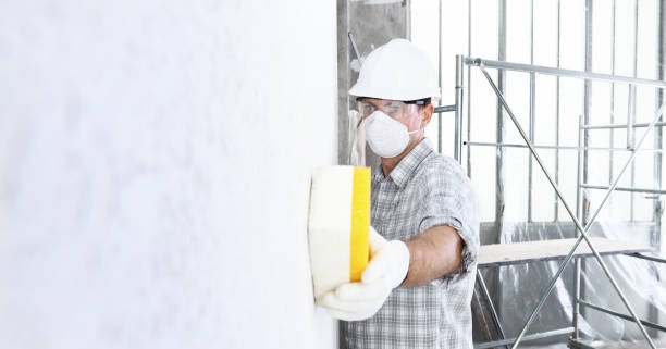 Why You Should Choose Our Mold Remediation Services in Manchester, PA